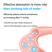 Load image into Gallery viewer, LINGTEA Set of 3 Flavors