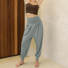 Load image into Gallery viewer, CONCHWEAR Banding Harem Pants 5Colors