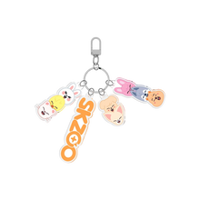 Load image into Gallery viewer, SLBS SKZOO NFC Keyring