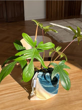 Load image into Gallery viewer, PHOTOZENIAGOODS Udo Ocean Pouch Bag