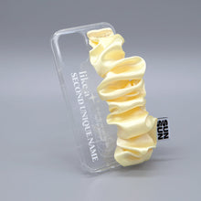 Load image into Gallery viewer, SECOND UNIQUE NAME Sun Case Gobull Band Lemon