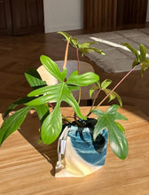 Load image into Gallery viewer, PHOTOZENIAGOODS Udo Ocean Pouch Bag