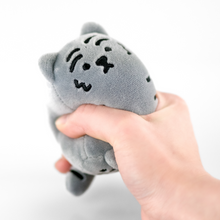 Load image into Gallery viewer, MUZIK TIGER Stress Ball 3 Colors