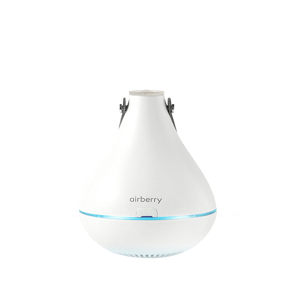 AIRBERRY Smart Clothing Care (Sterilization&dehumidification) set