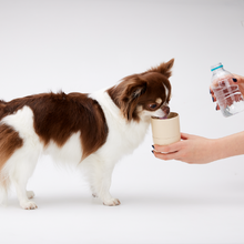 Load image into Gallery viewer, [IKJ] AHAHLAND Coconi Bottle
