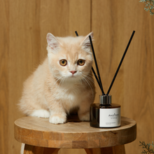 Load image into Gallery viewer, [LUS] ANGPAWS Pet Diffuser
