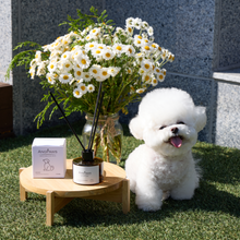 Load image into Gallery viewer, [LUS] ANGPAWS Pet Diffuser

