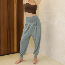 Load image into Gallery viewer, CONCHWEAR Banding Harem Pants 5Colors
