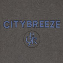 Load image into Gallery viewer, CITYBREEZE Logo Pigment Printed T-shirt Grey
